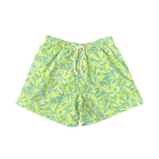 Acacia Short